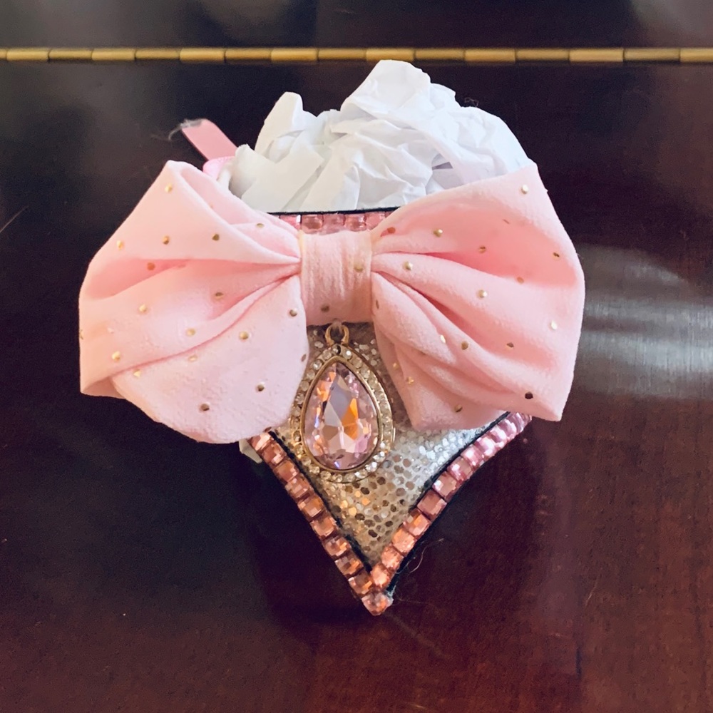 Dog fashion wear